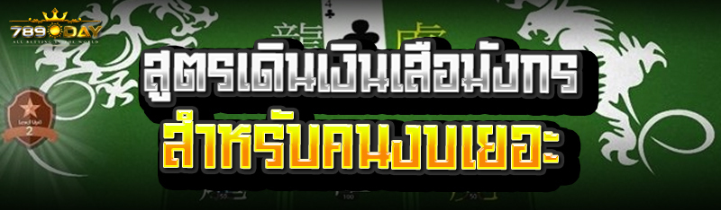 สูตรเดินเงินเสือมังกร สำหรับคนงบเยอะ 